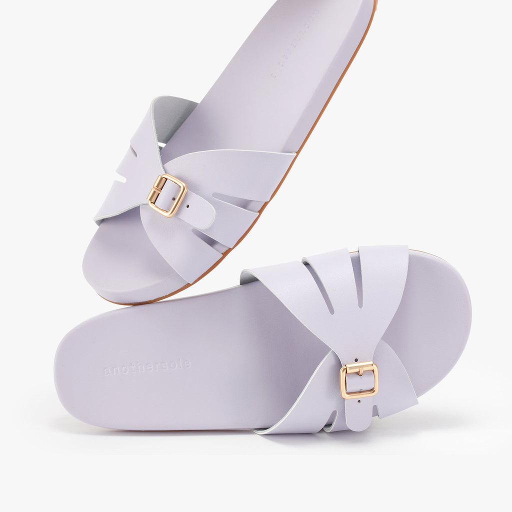 Sunday Slides - Lavender