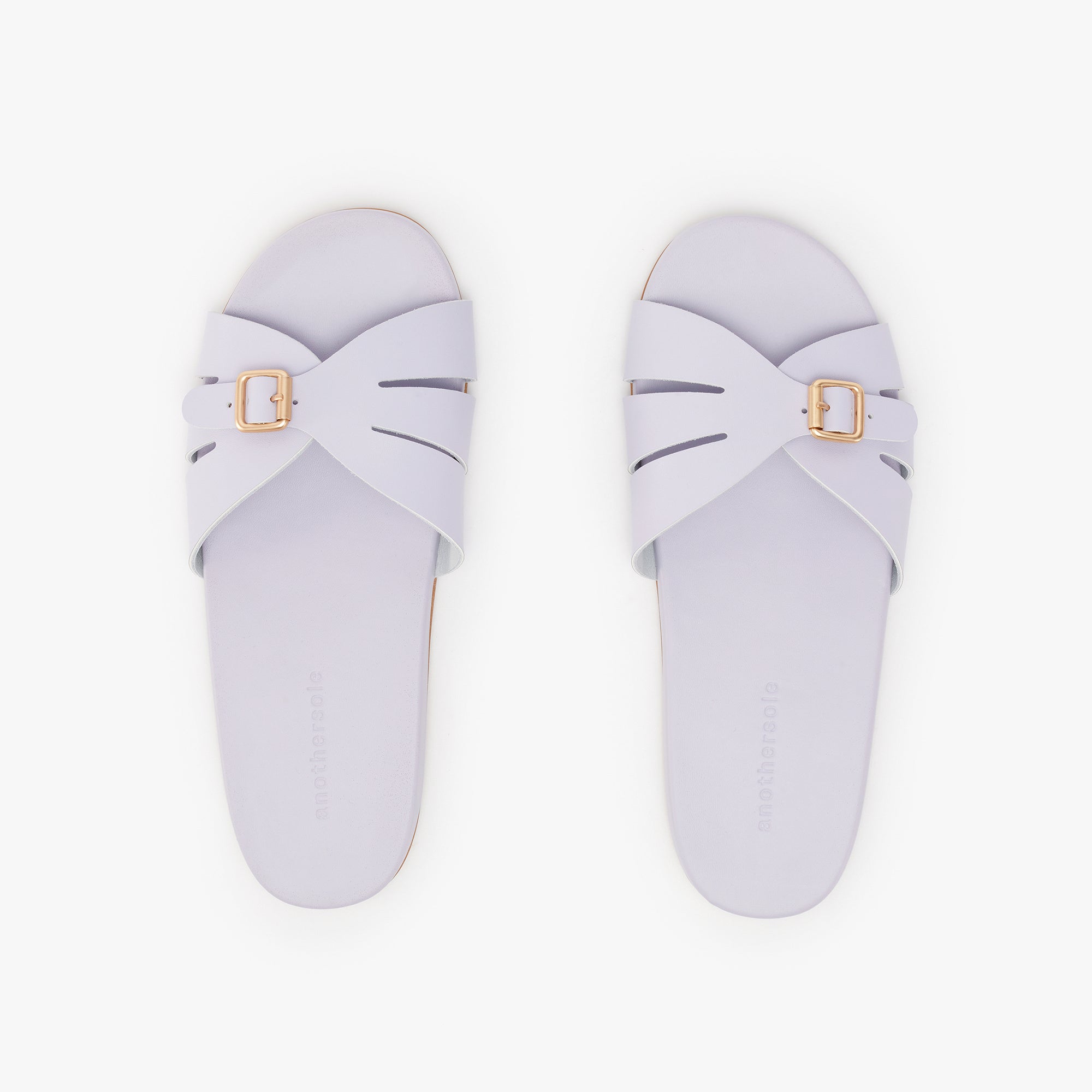 Sunday Slides - Lavender