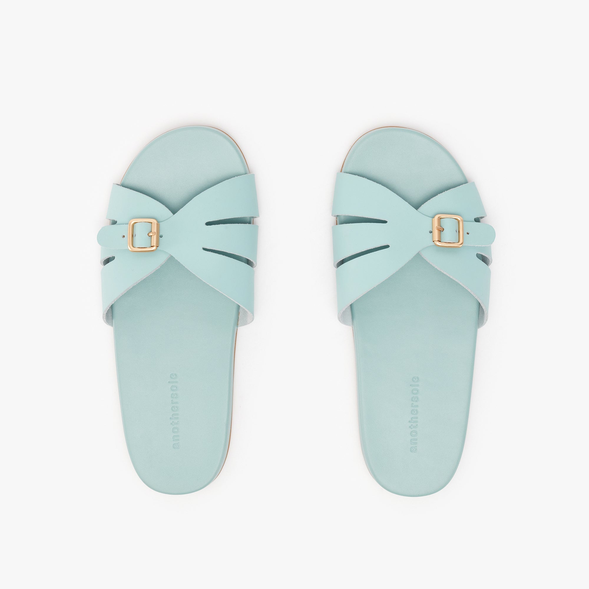 Sunday Slides - Mint
