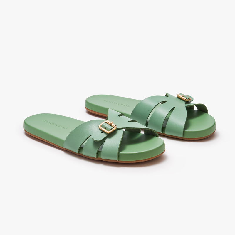 Sunday Slides - Fern Green
