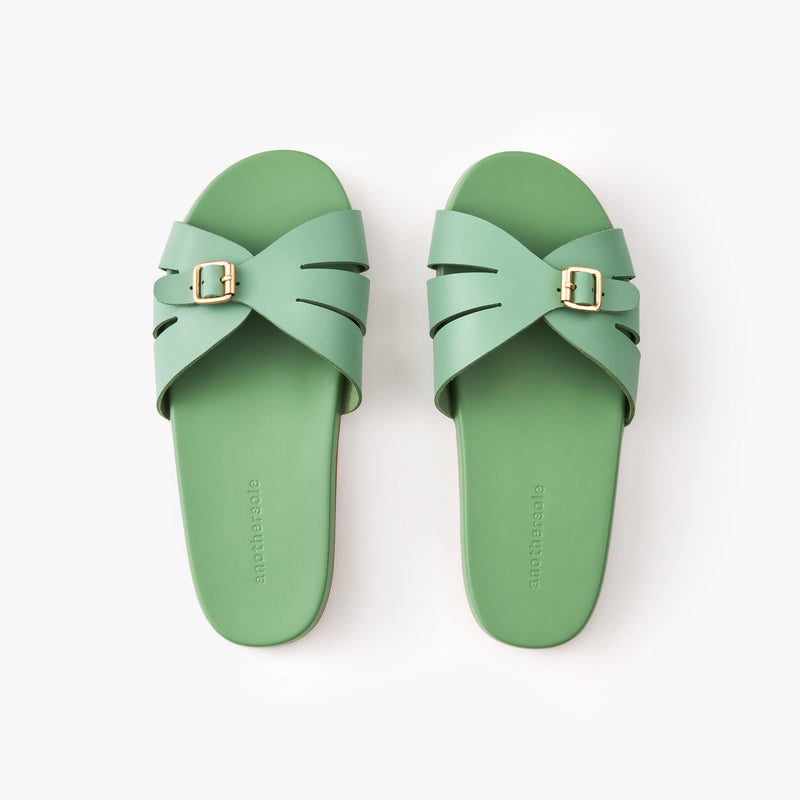 Sunday Slides - Fern Green