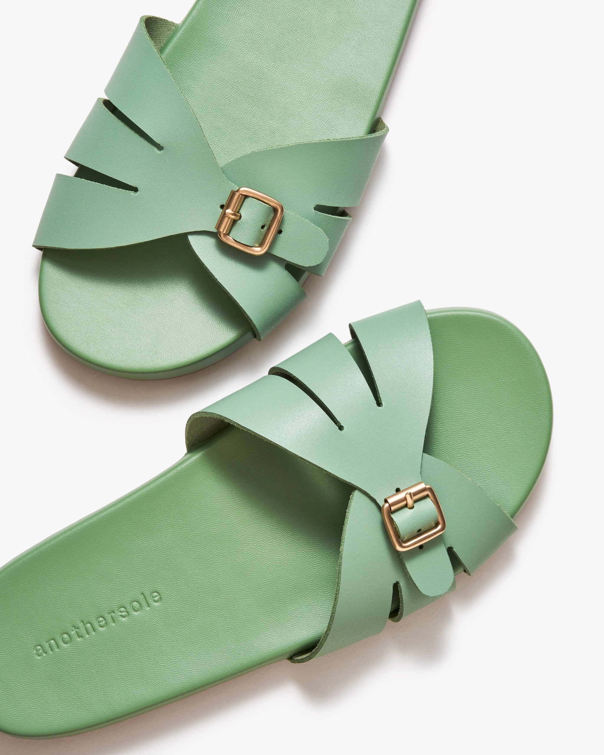 Sunday Slides - Fern Green