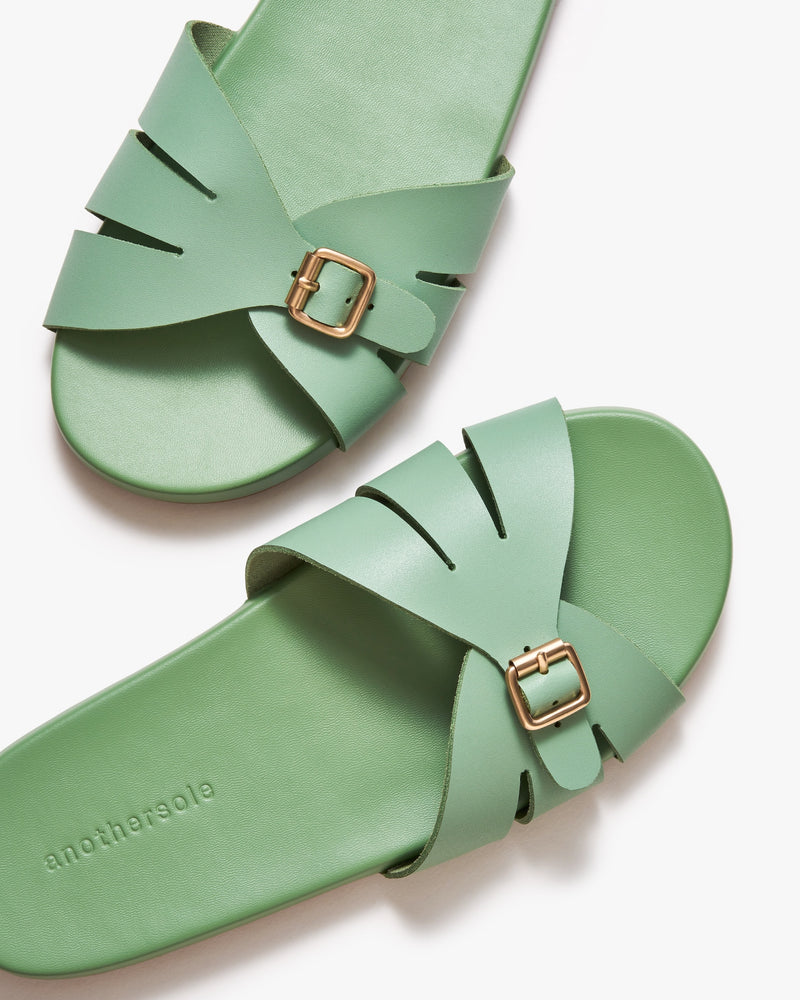 Sunday Slides - Fern Green