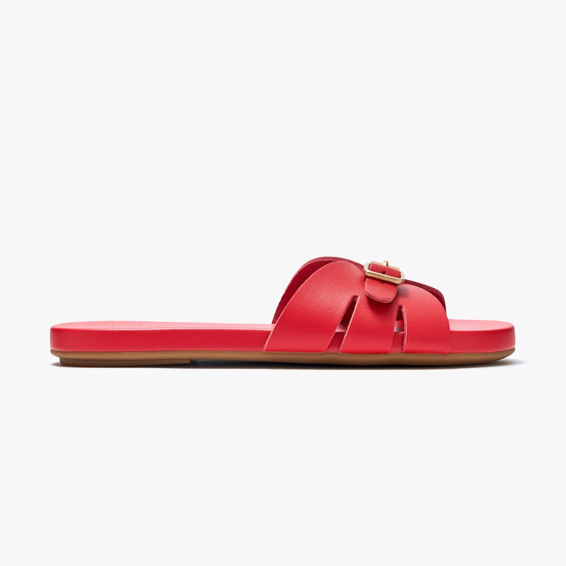 Sunday Slides - Red