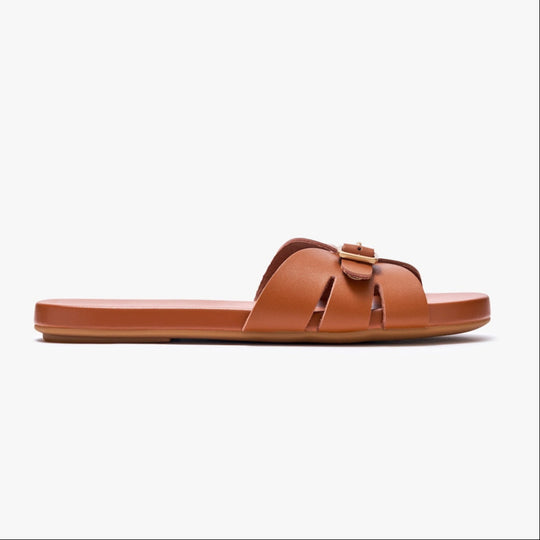 Sunday Slides - Tan