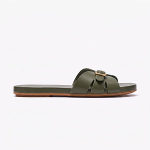 Sunday Slides - Olive